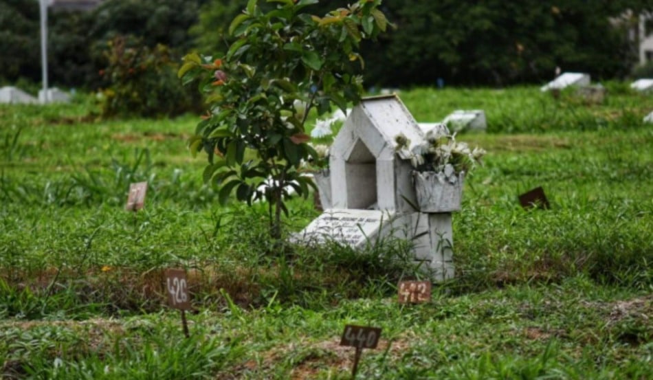 Foto: Thiago Soares/ Folha Vitória 